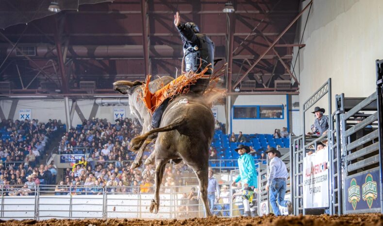 Rodeo